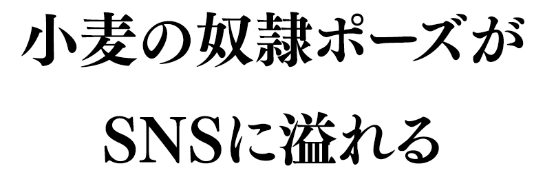 小麦の奴隷ポーズがSNSに溢れる